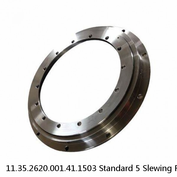 11.35.2620.001.41.1503 Standard 5 Slewing Ring Bearings #1 small image