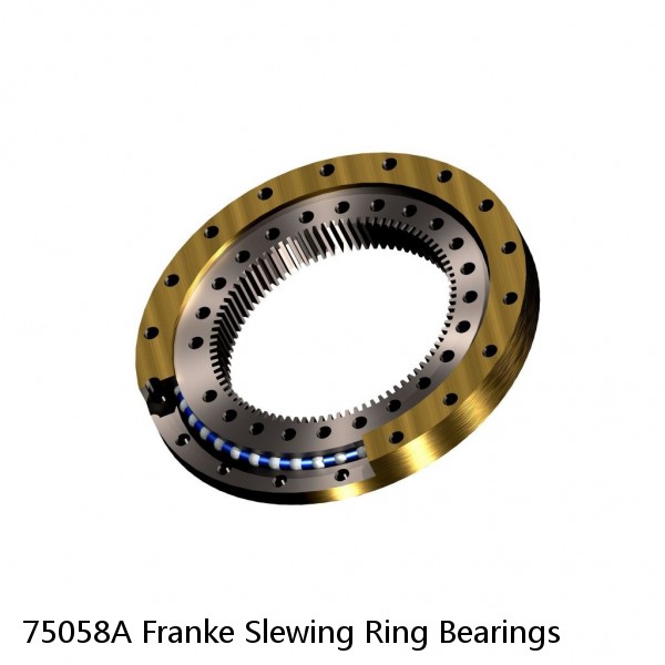 75058A Franke Slewing Ring Bearings #1 small image