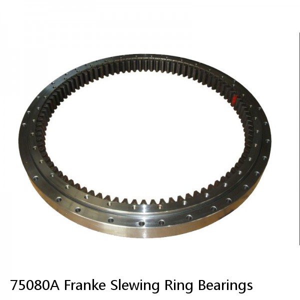 75080A Franke Slewing Ring Bearings #1 small image