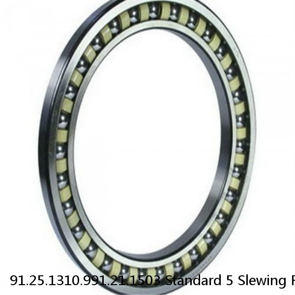 91.25.1310.991.21.1503 Standard 5 Slewing Ring Bearings #1 image