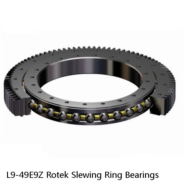 L9-49E9Z Rotek Slewing Ring Bearings #1 image