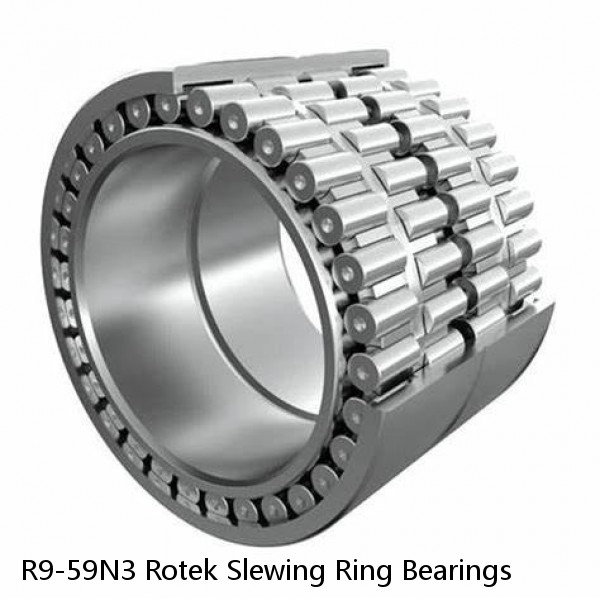 R9-59N3 Rotek Slewing Ring Bearings #1 image