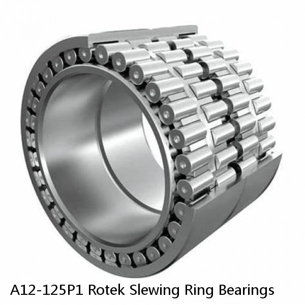 A12-125P1 Rotek Slewing Ring Bearings #1 image