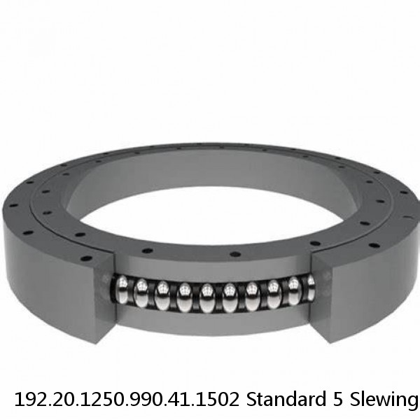 192.20.1250.990.41.1502 Standard 5 Slewing Ring Bearings #1 image