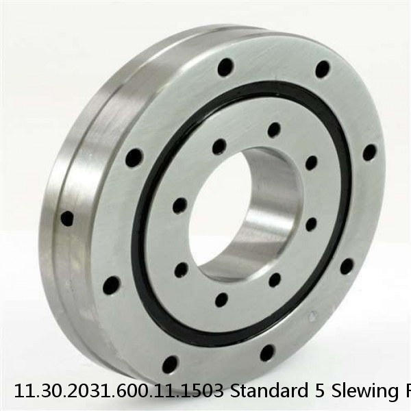11.30.2031.600.11.1503 Standard 5 Slewing Ring Bearings #1 image