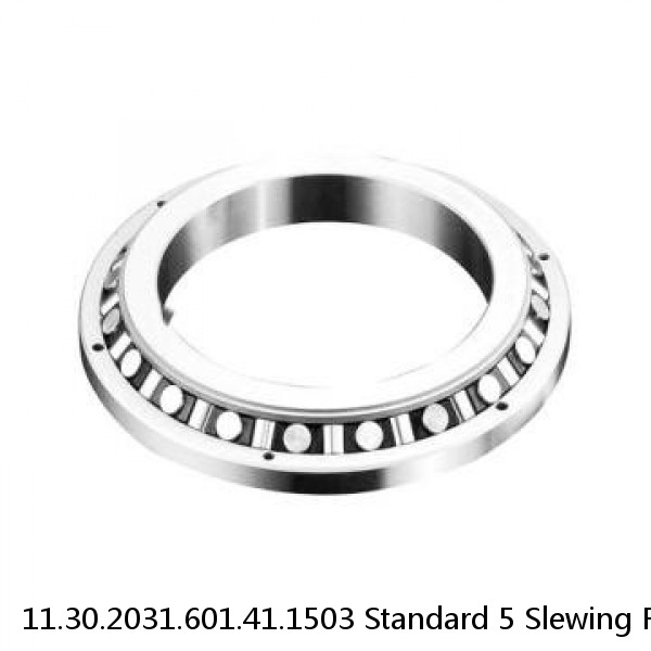 11.30.2031.601.41.1503 Standard 5 Slewing Ring Bearings #1 image