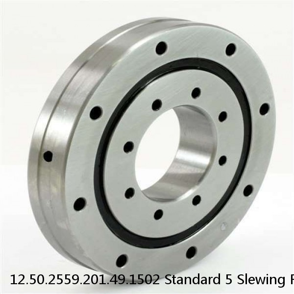 12.50.2559.201.49.1502 Standard 5 Slewing Ring Bearings #1 image