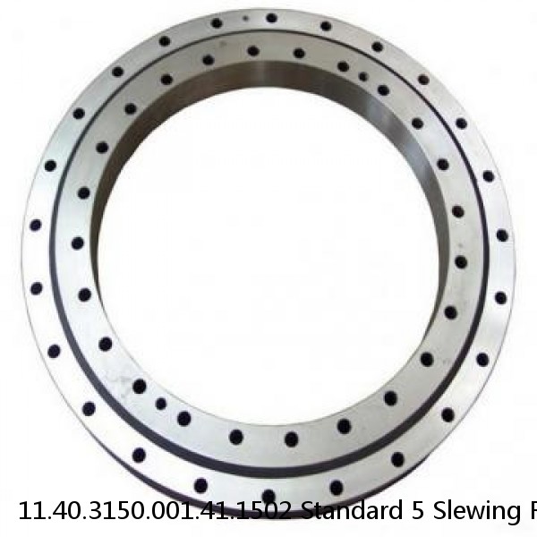 11.40.3150.001.41.1502 Standard 5 Slewing Ring Bearings #1 image