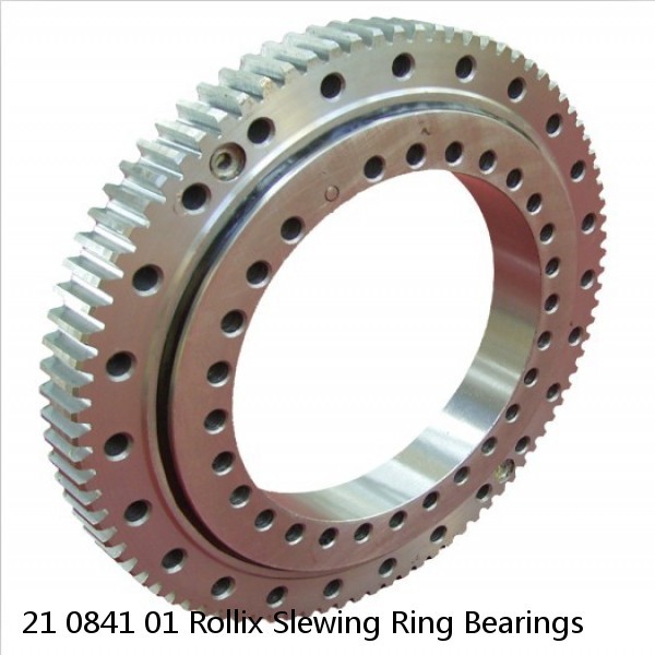 21 0841 01 Rollix Slewing Ring Bearings #1 image